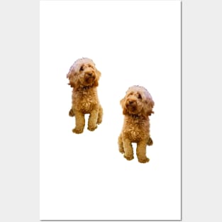 Cavapoo Cavoodle puppy pattern in cream- cute cavalier king charles spaniel Posters and Art